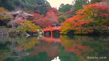 多彩的枫树，秋天的时候，京都醍醐寺